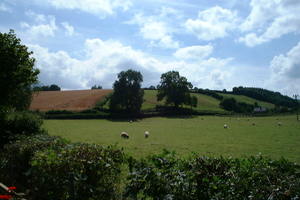 Wiveliscombe - Old Dear's cottage in Somerset