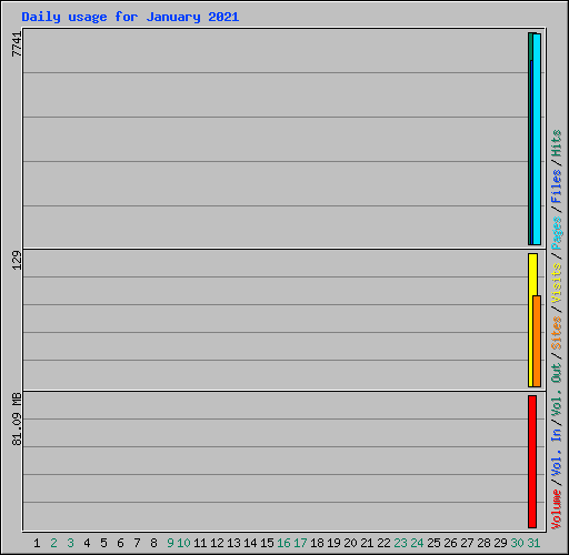 Daily usage for January 2021