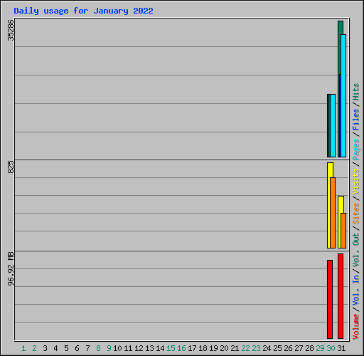 Daily usage for January 2022