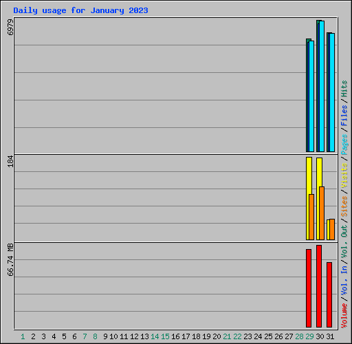 Daily usage for January 2023