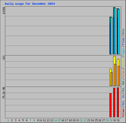 Daily usage for December 2024