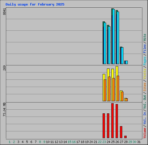 Daily usage for February 2025