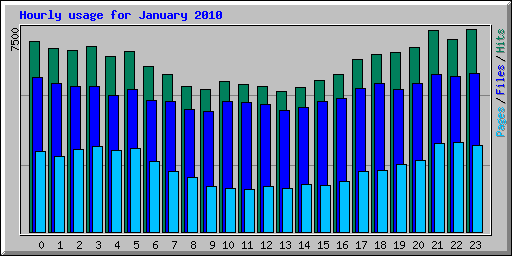 Hourly usage for January 2010