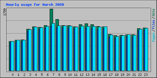 Hourly usage for March 2020