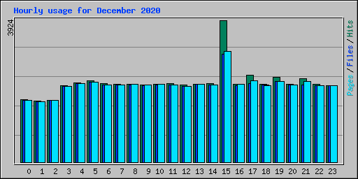 Hourly usage for December 2020