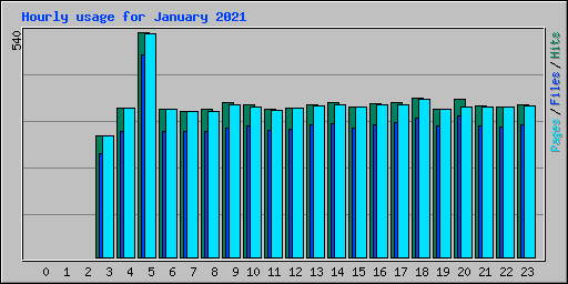 Hourly usage for January 2021