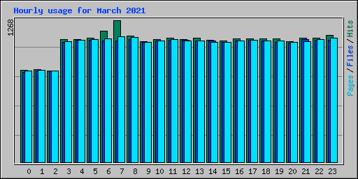 Hourly usage for March 2021