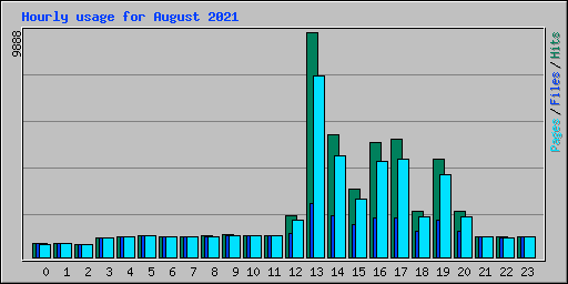 Hourly usage for August 2021