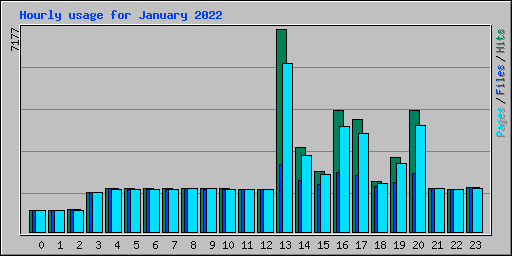 Hourly usage for January 2022