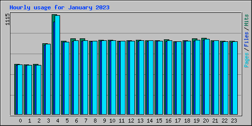 Hourly usage for January 2023