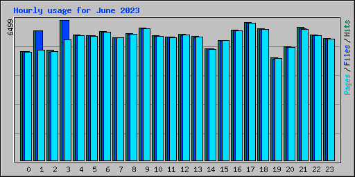 Hourly usage for June 2023