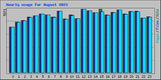 Hourly usage for August 2023