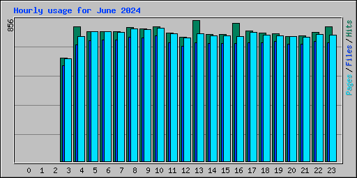 Hourly usage for June 2024