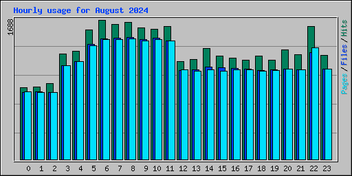 Hourly usage for August 2024