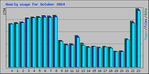Hourly usage for October 2024