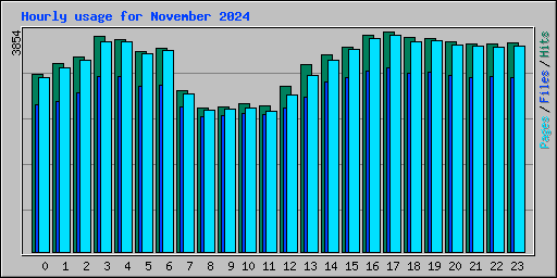 Hourly usage for November 2024