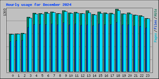 Hourly usage for December 2024