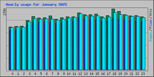 Hourly usage for January 2025
