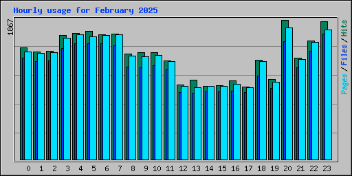 Hourly usage for February 2025