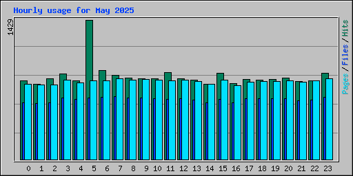 Hourly usage for May 2025