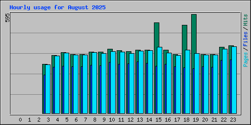 Hourly usage for August 2025