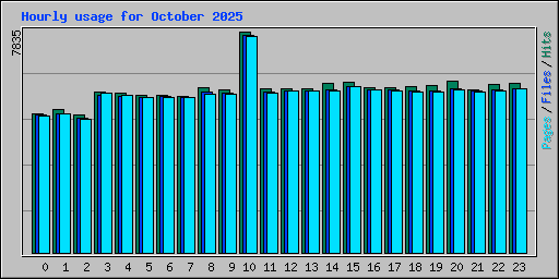 Hourly usage for October 2025