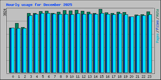Hourly usage for December 2025