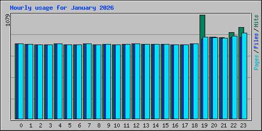 Hourly usage for January 2026