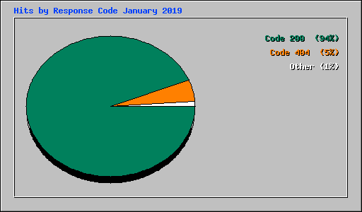 Hits by Response Code January 2019