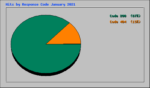 Hits by Response Code January 2021