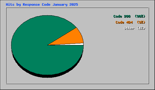 Hits by Response Code January 2025